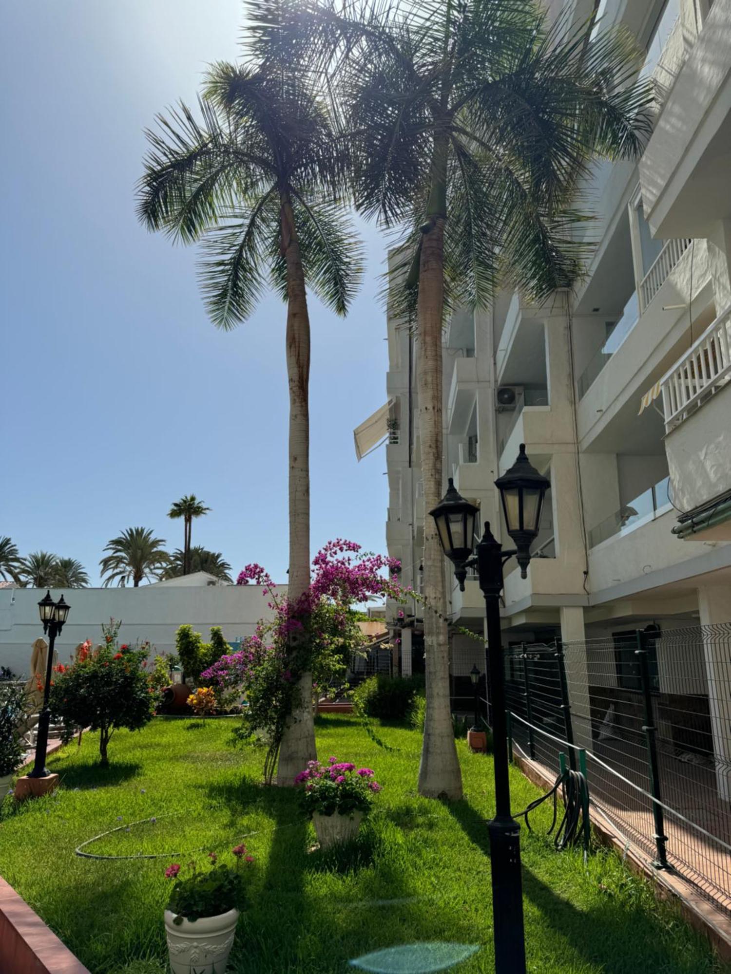 Apartamento Reformado En Apartamentos Tanife, Playa Del Ingles San Bartolomé Exteriér fotografie