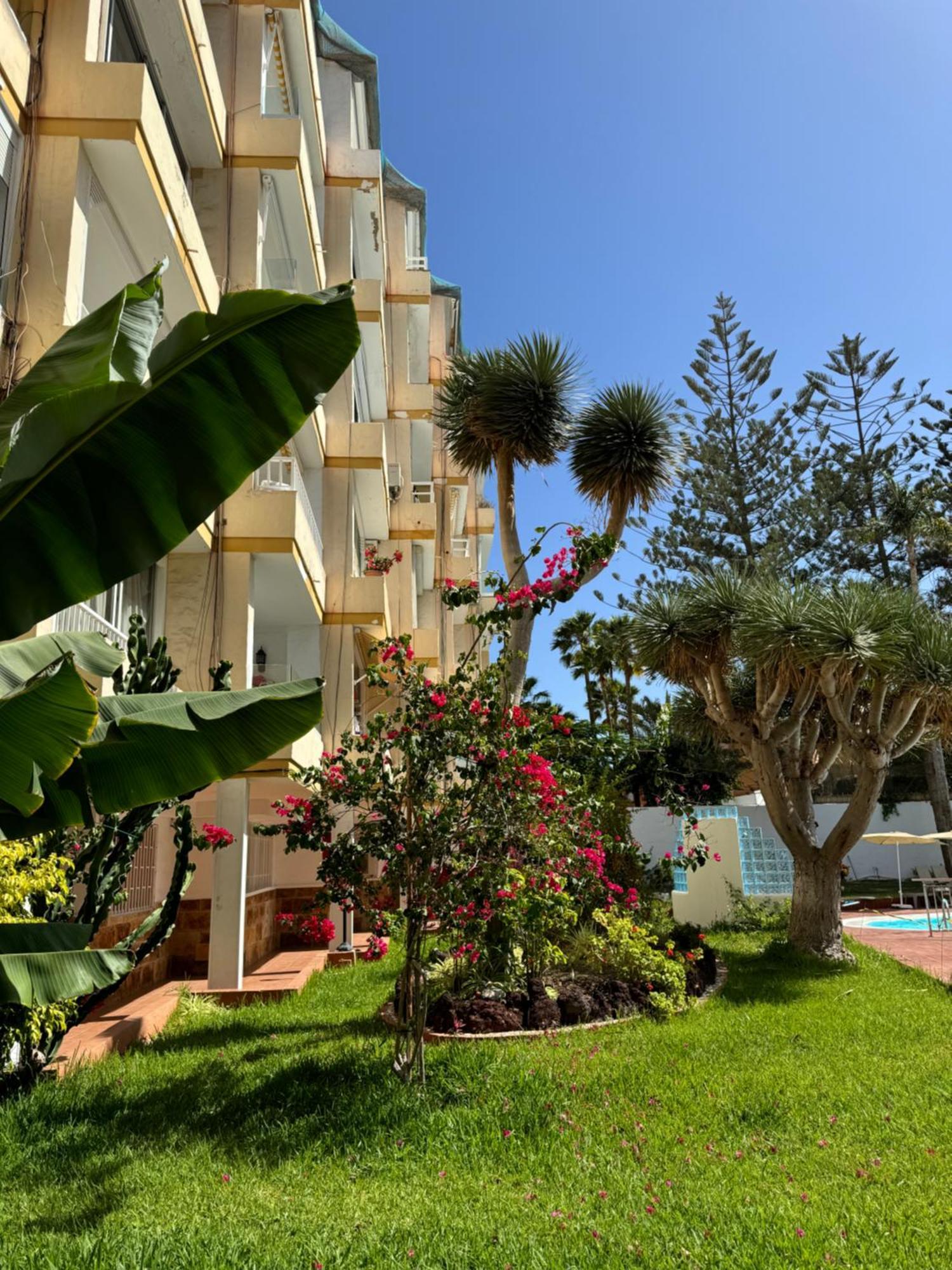 Apartamento Reformado En Apartamentos Tanife, Playa Del Ingles San Bartolomé Exteriér fotografie